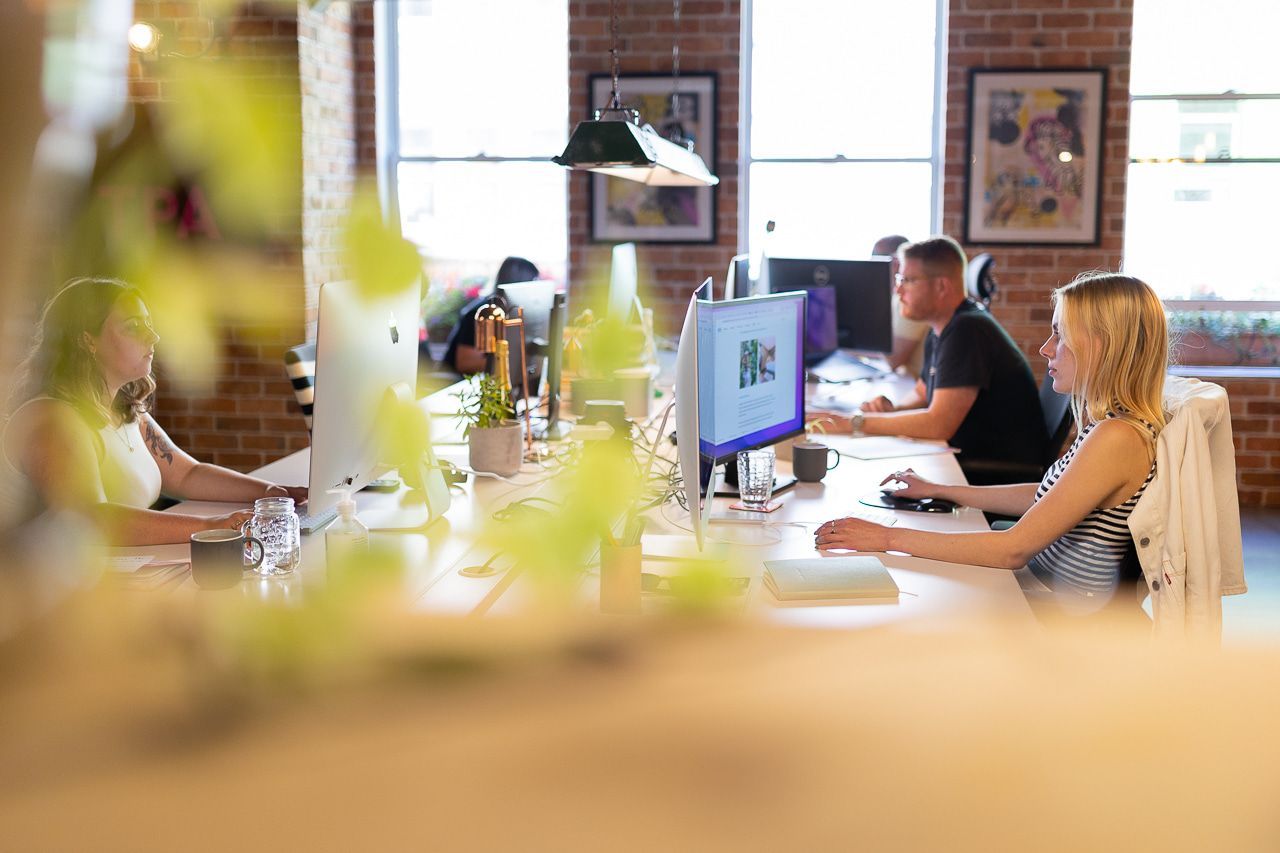 Guernsey Office Shot 5.jpg