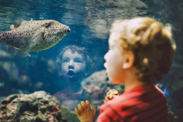 Sure - Listing Page.png