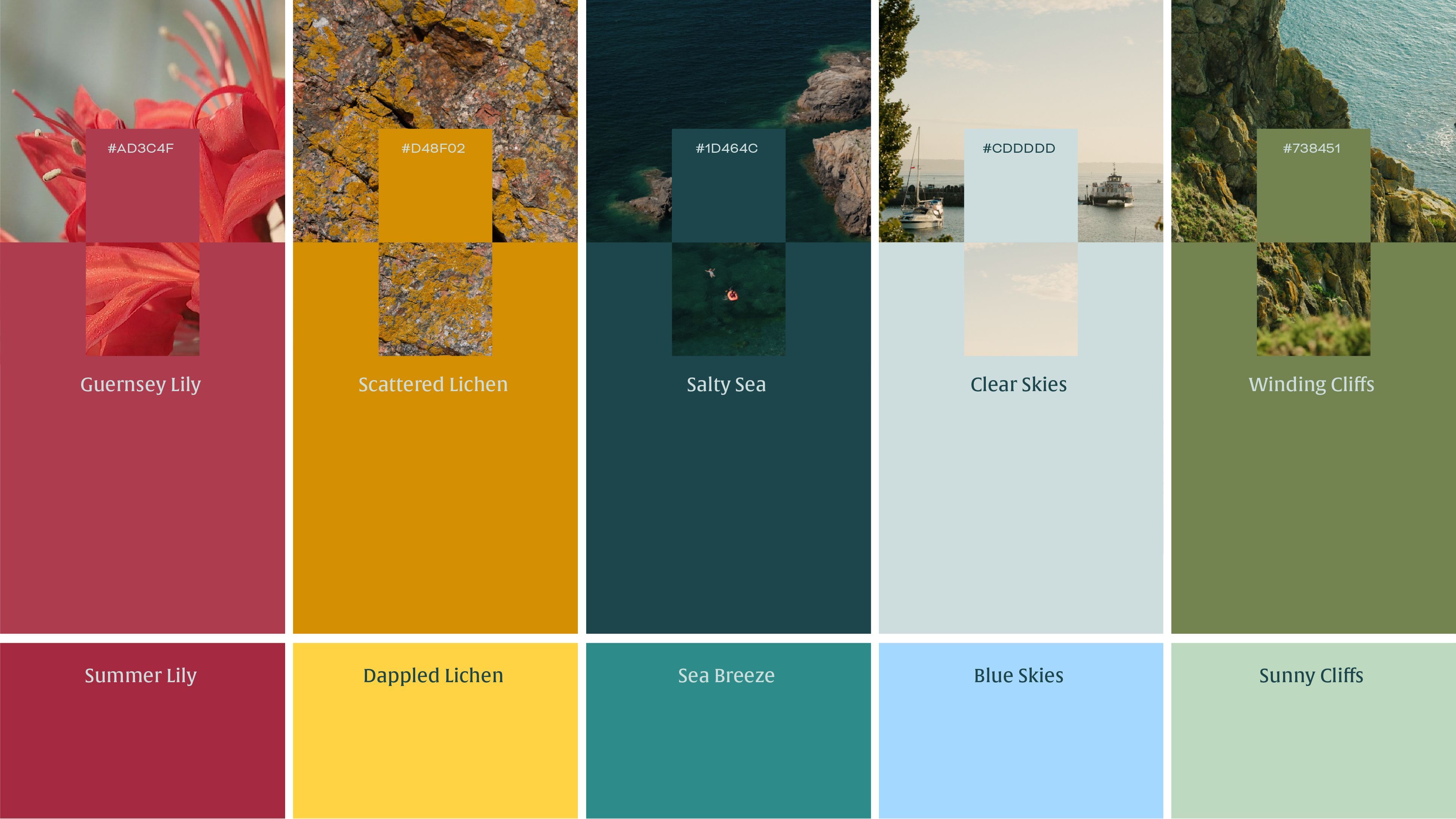 VG Case Study - Colour Palette@2x-100.jpg